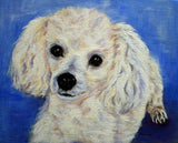 F&S Gift Store custom dog Painting, pet painting, pet portrait, portrait Commission, Dog painting from a photo, toy poodle, personalized pet art, 8x10"