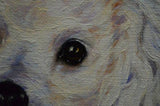 Personalized Oil Painting From Photos, handcraft art on Canvas-Show Case OSH100655-30