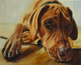 F&S Gift Store Christmas gift idea, rhodesian ridgeback, custom dog Painting, portrait from photo, personalized pet art , best gift Idea, pet memorial