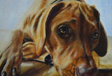 F&S Gift Store Christmas gift idea, rhodesian ridgeback, custom dog Painting, portrait from photo, personalized pet art , best gift Idea, pet memorial