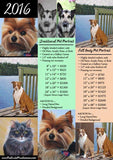 F&S Gift Store Custom Pet Portrait - Cat and Dog Paintings - By Toronto Portrait Artist Malinda Prud'homme