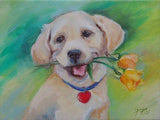 Personalized Oil Painting From Photos, handcraft art on Canvas-Show Case MRI100674-36