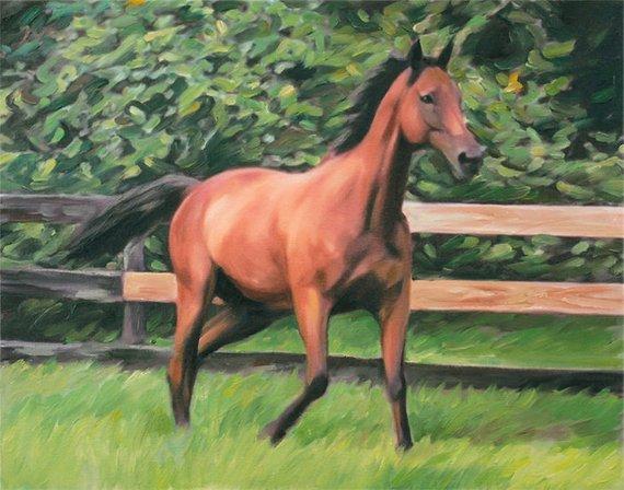 F&S Gift Store Horse Painting Personalized Oil Portrait Art from Photo - Hand Painted & Stretched Ready to Frame 20x24