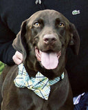 F&S Gift Store Chocolate Labrador, Christmas gift, dog portrait,custom dog Painting, pet painting, pet portrait, painting from photo, pet memorial, 8x10"