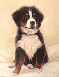 Personalized Oil Painting From Photos, handcraft art on Canvas-Show Case BER100663-12