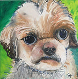F&S Gift Store Custom Pet Portrait Oil Painting 20" X 20" - Includes Internal Frame, Painted Edges