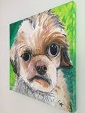 F&S Gift Store Custom Pet Portrait Oil Painting 20" X 20" - Includes Internal Frame, Painted Edges