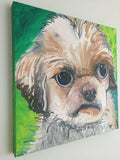 F&S Gift Store Custom Pet Portrait Oil Painting 20" X 20" - Includes Internal Frame, Painted Edges