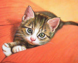 Personalized Oil Painting From Photos, handcraft art on Canvas-Show Case ORK101032-24