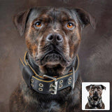 F&S Gift Store Custom Pet Portraits, Custom Dog Portraits, Oil Painting, Custom Portrait, Painting from Photo, Oil Paints, Dog Oil Painting, Oil Painting