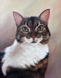 F&S Gift Store Custom Pet Portrait - Cat Painting - Perfect gift