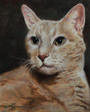 Personalized Oil Painting From Photos, handcraft art on Canvas-Show Case ORO100554-48