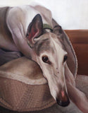 Personalized Oil Painting From Photos, handcraft art on Canvas-Show Case ETA101250-12