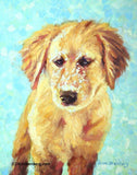 F&S Gift Store Golden Retriever Puppy Custom Pet Dog Portrait Oil Commission Painting from Photo 5" x 7" Wall Art Unique Gift For Dog Lover By Kim Stenberg