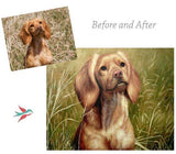 Personalized Oil Painting From Photos, handcraft art on Canvas-Show Case JTO101565-36