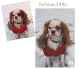 F&S Gift Store Pet Dog Custom Portrait. Custom Oil Portrait. Dog custom painting. Animal custom portrait. Oil painting.Commission dog portrait.7 sizes. USA