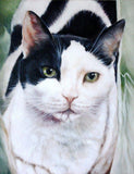 Personalized Oil Painting From Photos, handcraft art on Canvas-Show Case GTO101214-36