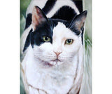 F&S Gift Store Custom Pet Portrait, Oil Painting, Pet Portrait, Pet Oil Painting, Animal Portrait, Cat Portrait, 11x14