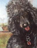 F&S Gift Store Pet Portrait, Pet Painting, Pet/animal Art, Dog Portrait, Customizable original art, memoriam, Wall Art, Dog Lover Art, Poodle Portrait