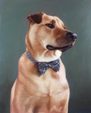F&S Gift Store CUSTOM PET PORTRAIT - Oil Painting - Commissioned Painting - Dog Portrait - Pet Portrait