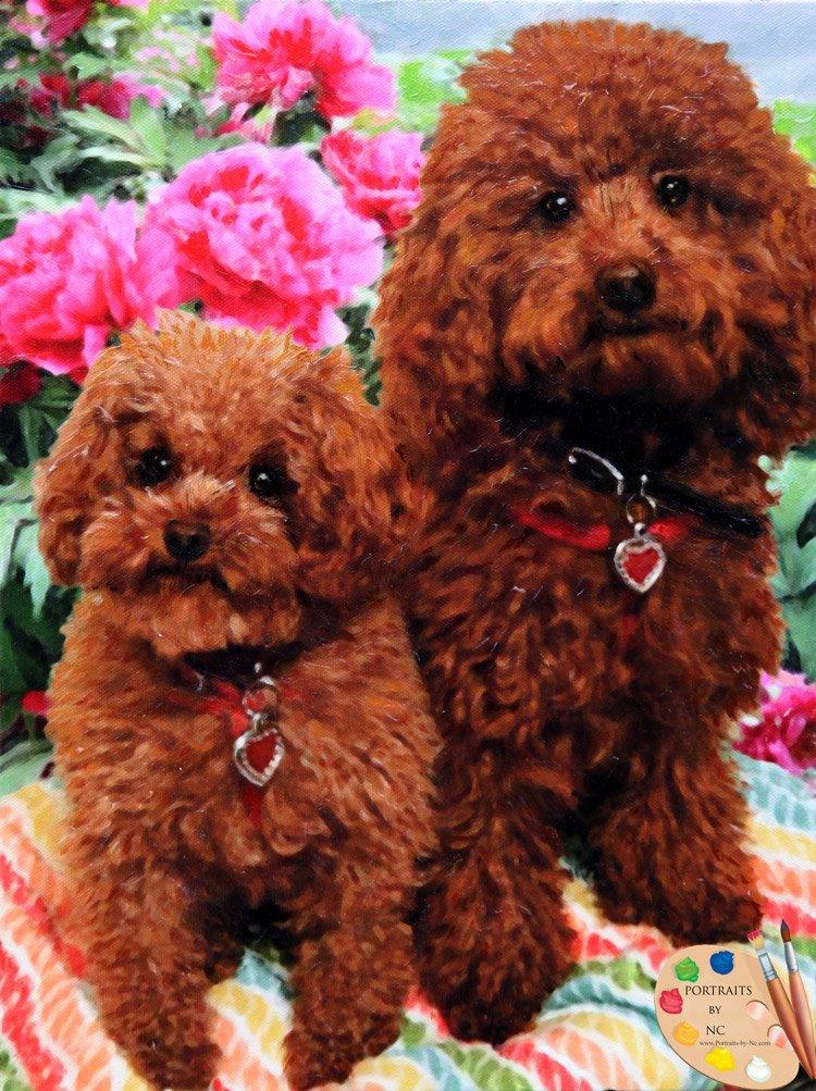 F&S Gift Store Pet Portrait - Poodle Custom Dog Portrait - Poodle Painting from your Photo - Portraits by NC