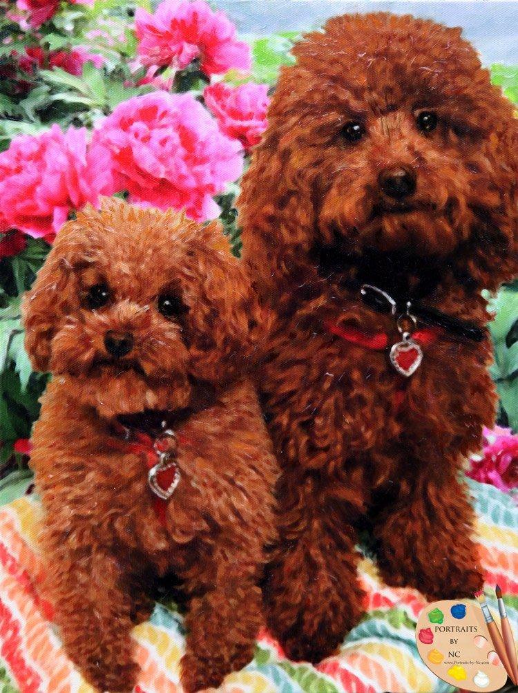 Personalized Oil Painting From Photos, handcraft art on Canvas-Show Case STM102243-12