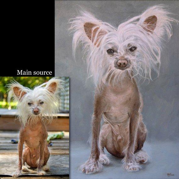 F&S Gift Store Custom Dog portrait, Pet portrait, Dog Painting, Chinese Crested - oil painting on canvas. 50% DEPOSIT. Handmade Custom pet portrait.