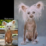 F&S Gift Store Custom Dog portrait, Pet portrait, Dog Painting, Chinese Crested - oil painting on canvas. 50% DEPOSIT. Handmade Custom pet portrait.