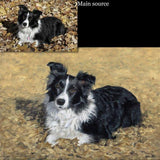 Personalized Oil Painting From Photos, handcraft art on Canvas-Show Case JNO102294-36