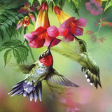 F&S Diamond Painting Store Bird Couple and Flowers