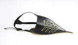 Steampunk Plague Beak Mask Halloween
