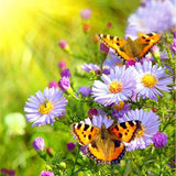 F&S Diamond Painting Store Purple Flowers with Butterfly 30x30cm
