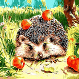 F&S Diamond Painting Store Hedgehog with Apples 30x30cm