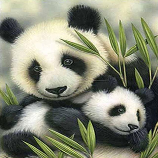 F&S Diamond Painting Store Panda's 30x30cm