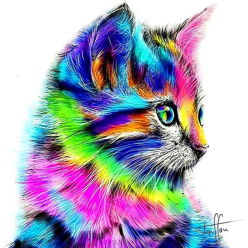 F&S Diamond Painting Store Beautiful Colorful Cat
