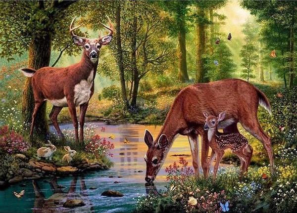 F&S Diamond Painting Store Deer at Brook 15x20cm