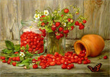 F&S Diamond Painting Store Strawberry & Vase 30x40cm