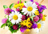 F&S Diamond Painting Store Flower arrangement White & Yellow 30x40cm