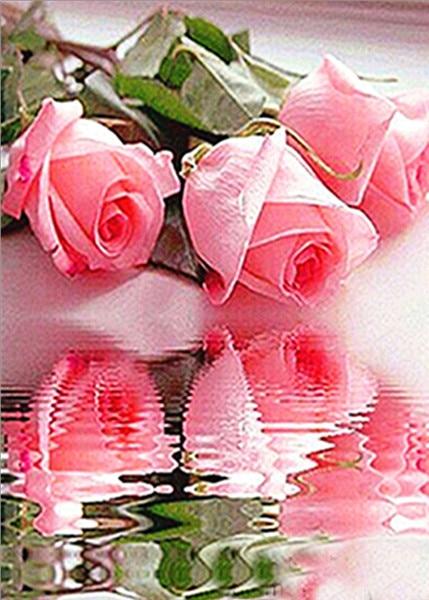 F&S Diamond Painting Store Pink Roses 30x40cm
