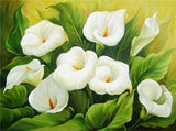 F&S Diamond Painting Store Flowers White 30x40cm