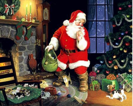 F&S Diamond Painting Store Santa Claus with Puppy 25x30cm