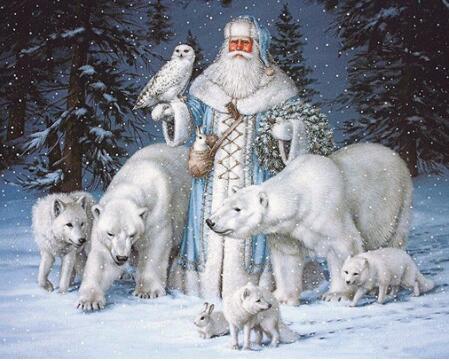 F&S Diamond Painting Store Santa Claus with Polar Bears 25x30cm