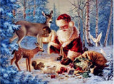 F&S Diamond Painting Store Santa Claus with Animals 25x30cm