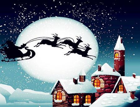 F&S Diamond Painting Store Santa Claus in Sleigh at Full Moon 25x20cm
