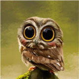 F&S Diamond Painting Store Owl Brown 25x25cm