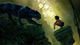 F&S Diamond Painting Store Disney the Jungle Book 30x20cm