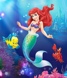 F&S Diamond Painting Store Disney Ari de l the Mermaid 30x20cm