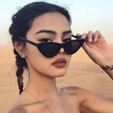 Fashion high quality cute sexy lady cat eye sunglasses