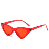 Fashion high quality cute sexy lady cat eye sunglasses