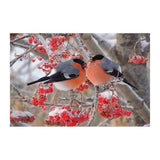 F&S Diamond Painting Store Two Birds on a Branch